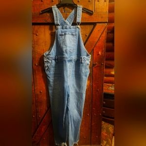 Plus size Overalls